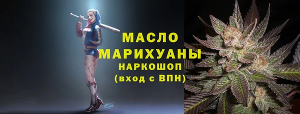 сатива Надым