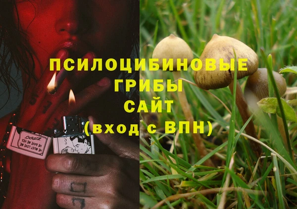 spice Алапаевск