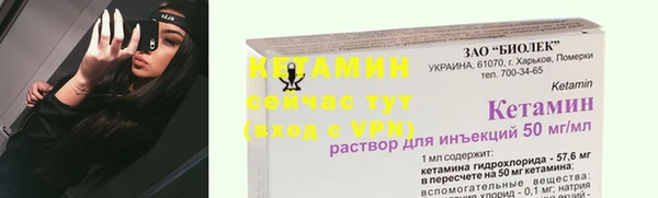 сатива Надым