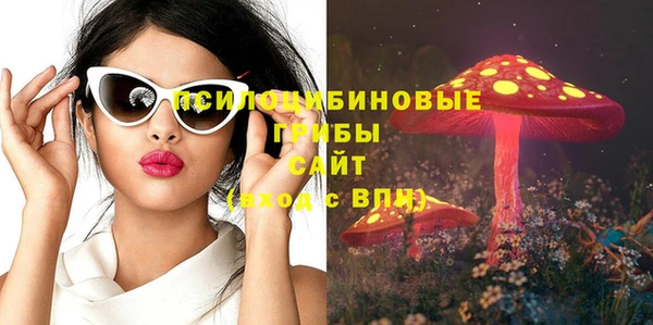 сатива Надым