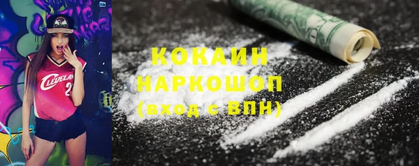 сатива Надым