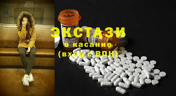сатива Надым