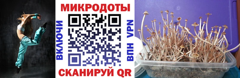 Псилоцибиновые грибы прущие грибы  Южа 